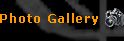Photo Gallery
